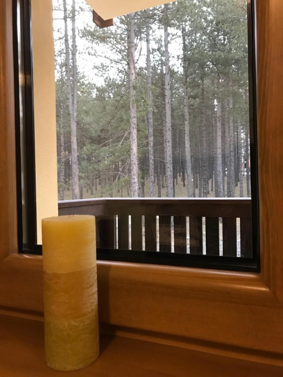 Zlatibor Apartmani Jakovljevic Exteriér fotografie