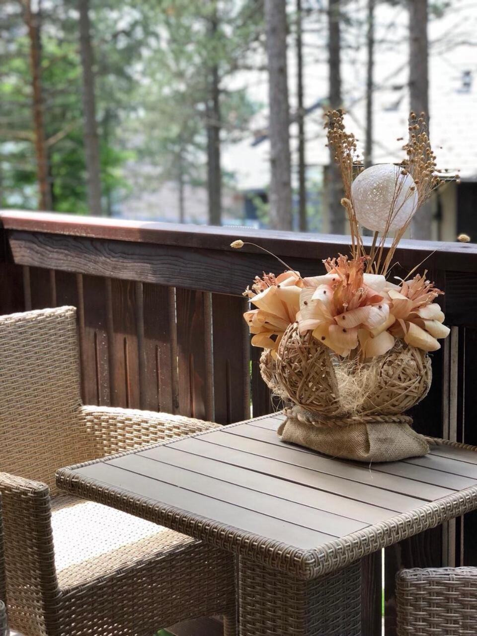 Zlatibor Apartmani Jakovljevic Exteriér fotografie