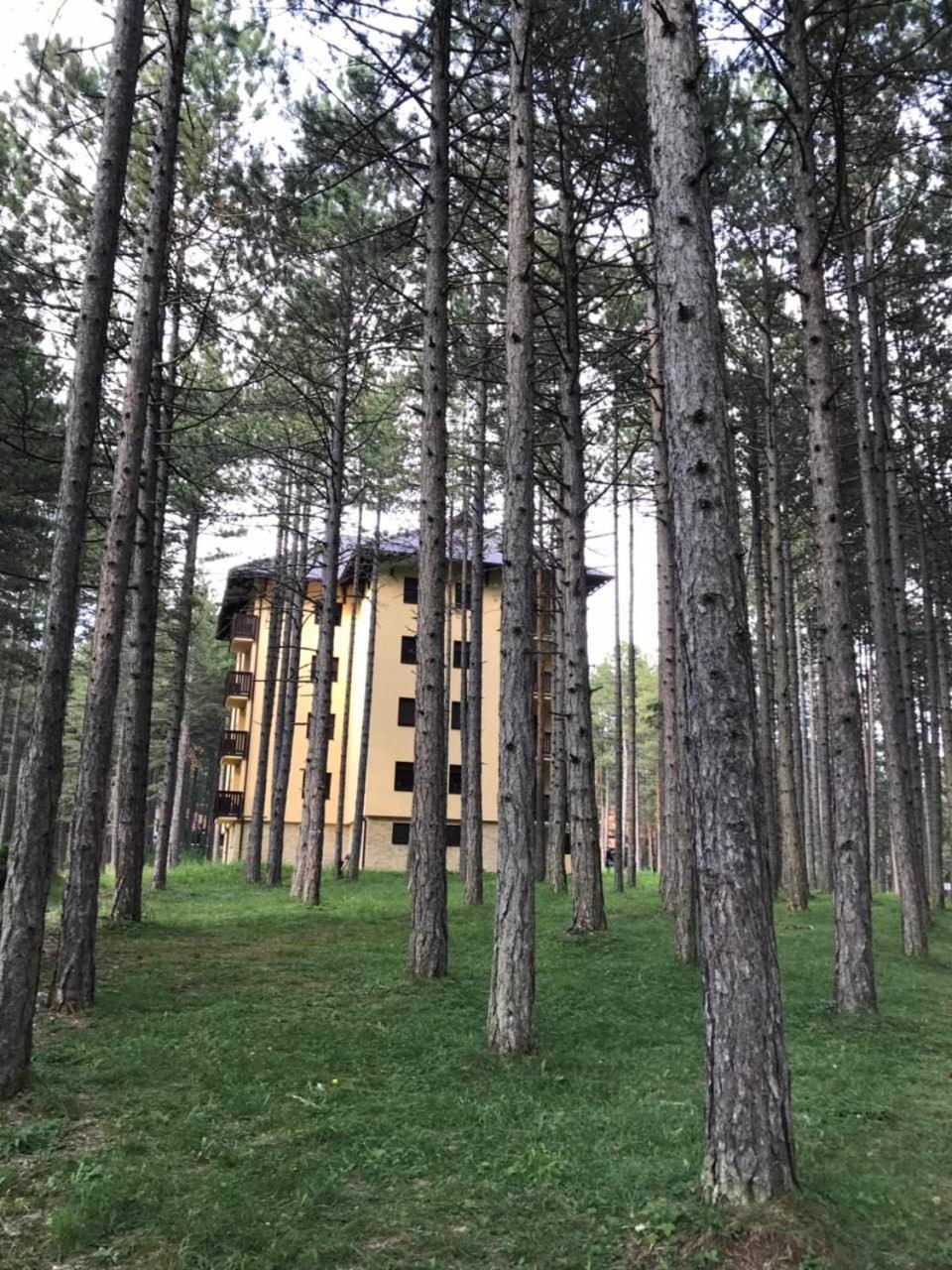 Zlatibor Apartmani Jakovljevic Exteriér fotografie